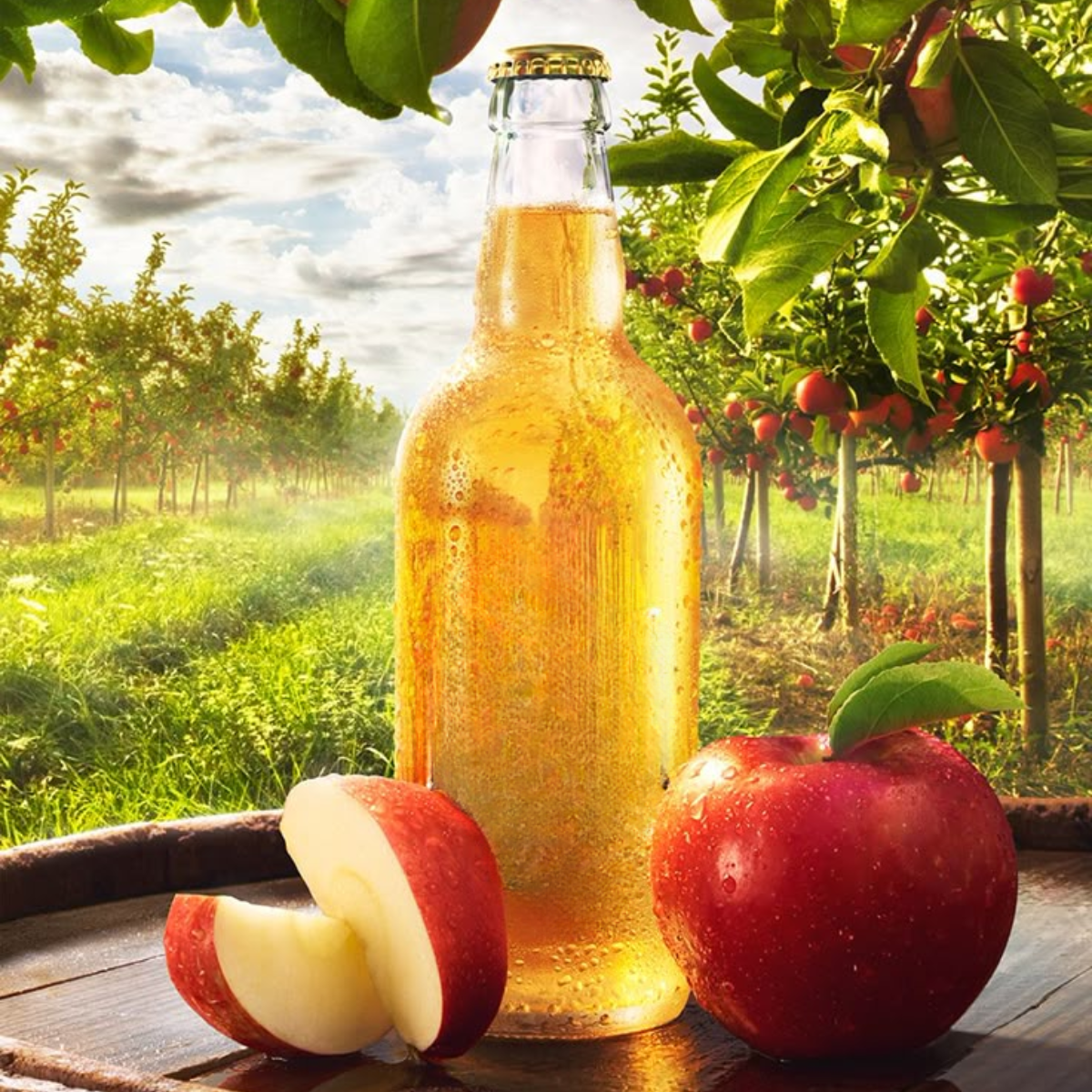Cider & Ginger Beer